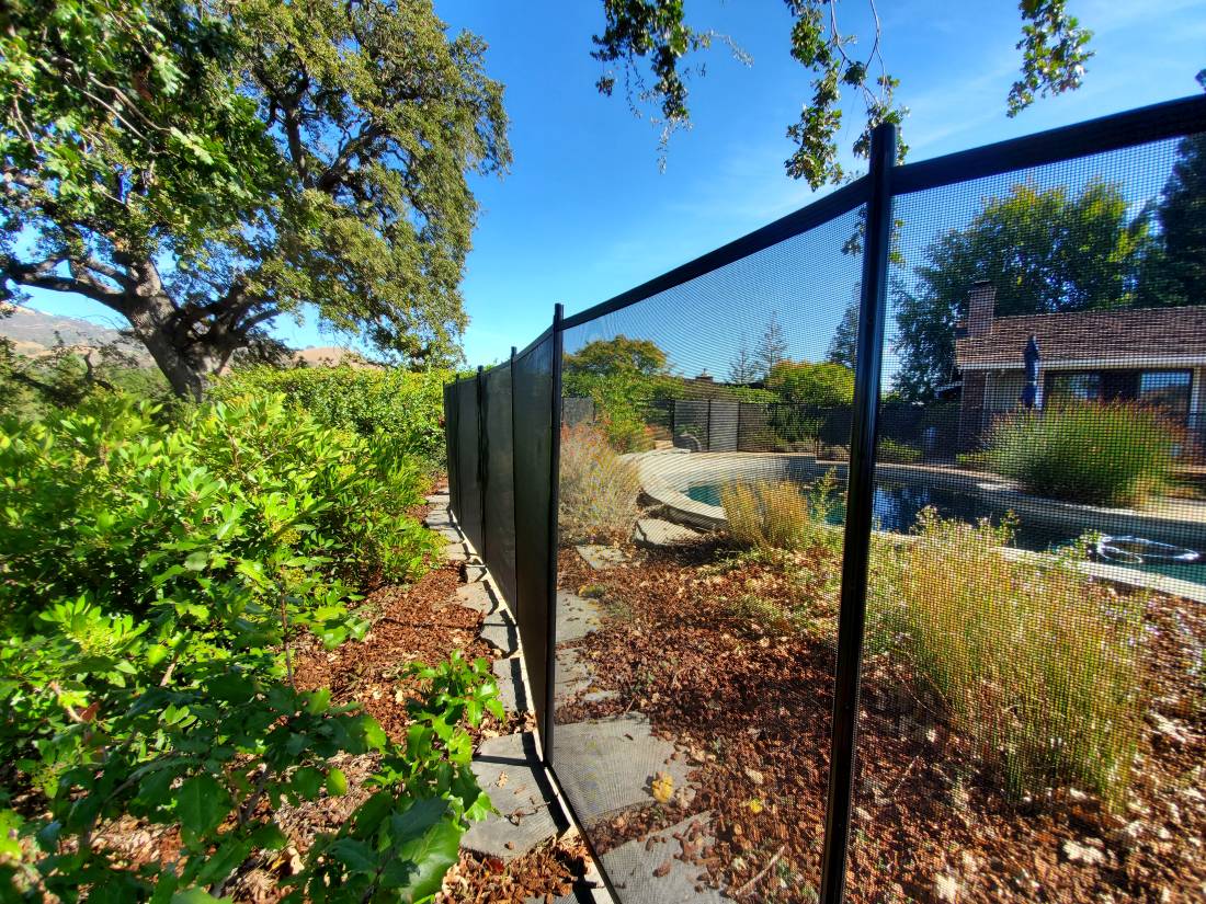 Alamo Pool Fence